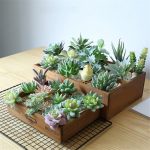 Artificial Succulents Plants Flocking Cheap DIY PVC Wedding Garden Decoration Flower Accessories For Home Indoor Decoration Gift - Image 2