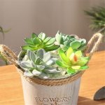 Artificial Succulents Plants Flocking Cheap DIY PVC Wedding Garden Decoration Flower Accessories For Home Indoor Decoration Gift - Image 4