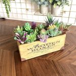 Artificial Succulents Plants Flocking Cheap DIY PVC Wedding Garden Decoration Flower Accessories For Home Indoor Decoration Gift - Image 5
