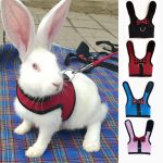 Pet Mesh Soft Harness With Leash Small Animal Vest Lead for Hamster Rabbit Bunny Small animal pet accessories Belt lead set