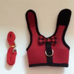Pet Mesh Soft Harness With Leash Small Animal Vest Lead for Hamster Rabbit Bunny Small animal pet accessories Belt lead set - Image 5